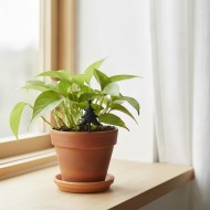 Ozdoba choinka metalowa na patyku do doniczek czarny mat