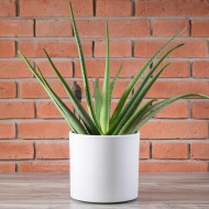 DONICA MARIA biały mat ceramiczna śr. 23cm