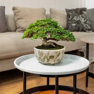 DONICZKA MISA NA BONSAI 22cm miska betonowa do salonu płaska boho osłonka