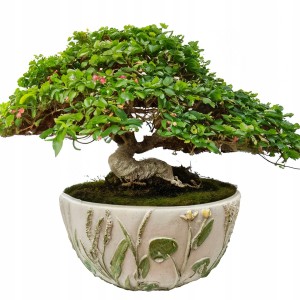 DONICZKA MISA NA BONSAI 22cm miska betonowa do salonu płaska boho osłonka