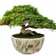 DONICZKA MISA NA BONSAI 22cm miska betonowa do salonu płaska boho osłonka