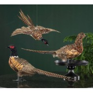 Figurka Bażant Replika 70cm Prawdziwe Pióra | skandi.pl