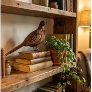 Figurka Bażant Replika 70cm Prawdziwe Pióra | skandi.pl