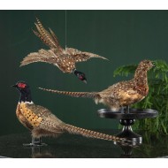 Figurka Bażant Replika 70cm Naturalne Pióra | skandi.pl