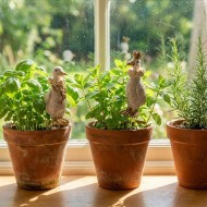 Ozdoba do Doniczki Kaczka Kaczor Pik 2 szt. Wielkanoc | skandi.pl