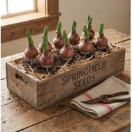 Ozdoba do Doniczki Cebulka Wielkanocna Pik | skandi.pl