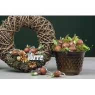 Ozdoba do Doniczki Cebulka Wielkanocna Pik | skandi.pl