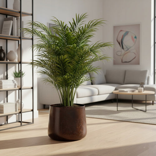 DONICA LOFT XL RDZAWY BRĄZ /3/