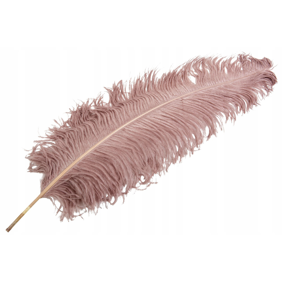 PIÓRO STRUSIE PUDROWE 60CM