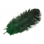 PIÓRO STRUSIE CIEMNOZIELONE 45CM