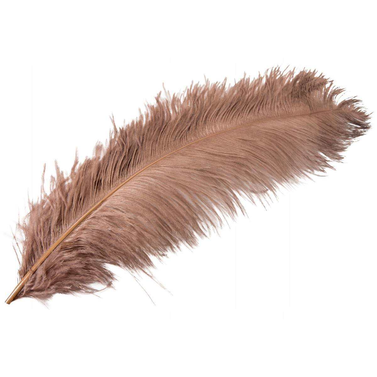 PIÓRO STRUSIE K. NUGATOWY 60CM