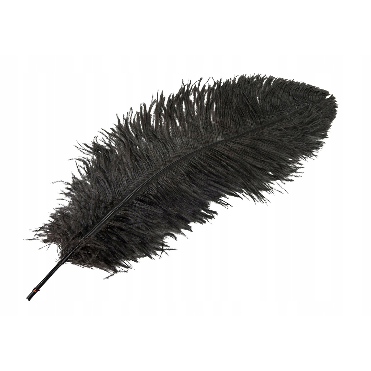 PIÓRO STRUSIE CIEMNY BRĄZ 60CM