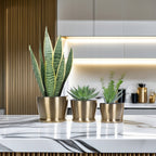 DONICZKA ZŁOTA LOFT 3 SZT.