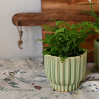 DONICZKA ZIELONA CERAMIKA 10CM