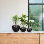DONICZKA CZARNA LOFT 3 SZT.