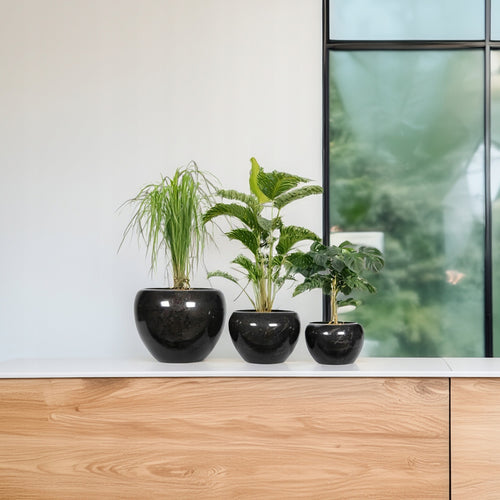 DONICZKA CZARNA LOFT 3 SZT.