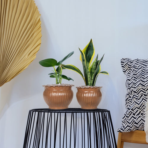 DONICZKA LOFT BRĄZOWA 2 SZT.