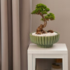 DONICZKA NA BONSAI ZIELONA 26CM