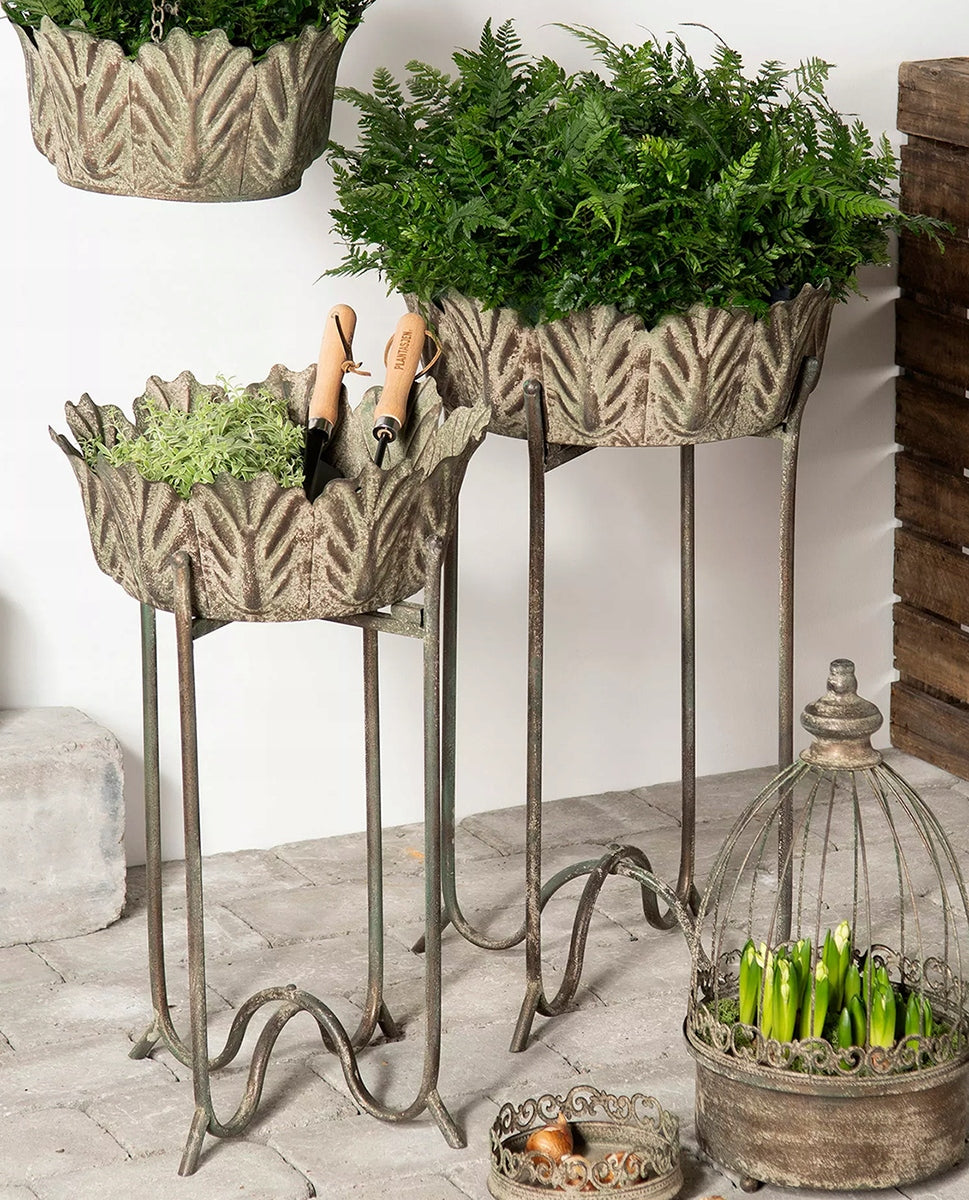 KWIETNIK DONICZKA NA STOJAKU LIŚCIE 2 SZT.