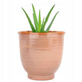 DONICZKA CERAMICZNA RÓŻOWA 12CM