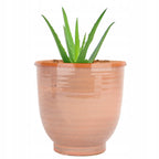 DONICZKA CERAMICZNA RÓŻOWA 12CM