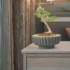 DONICZKA NA BONSAI BŁĘKITNA 26CM