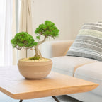 DONICZKA NA BONSAI DUŻA GLINIANA 30CM