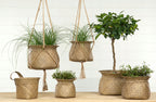 DONICA KOSZ naturalna boho śr. 19cm