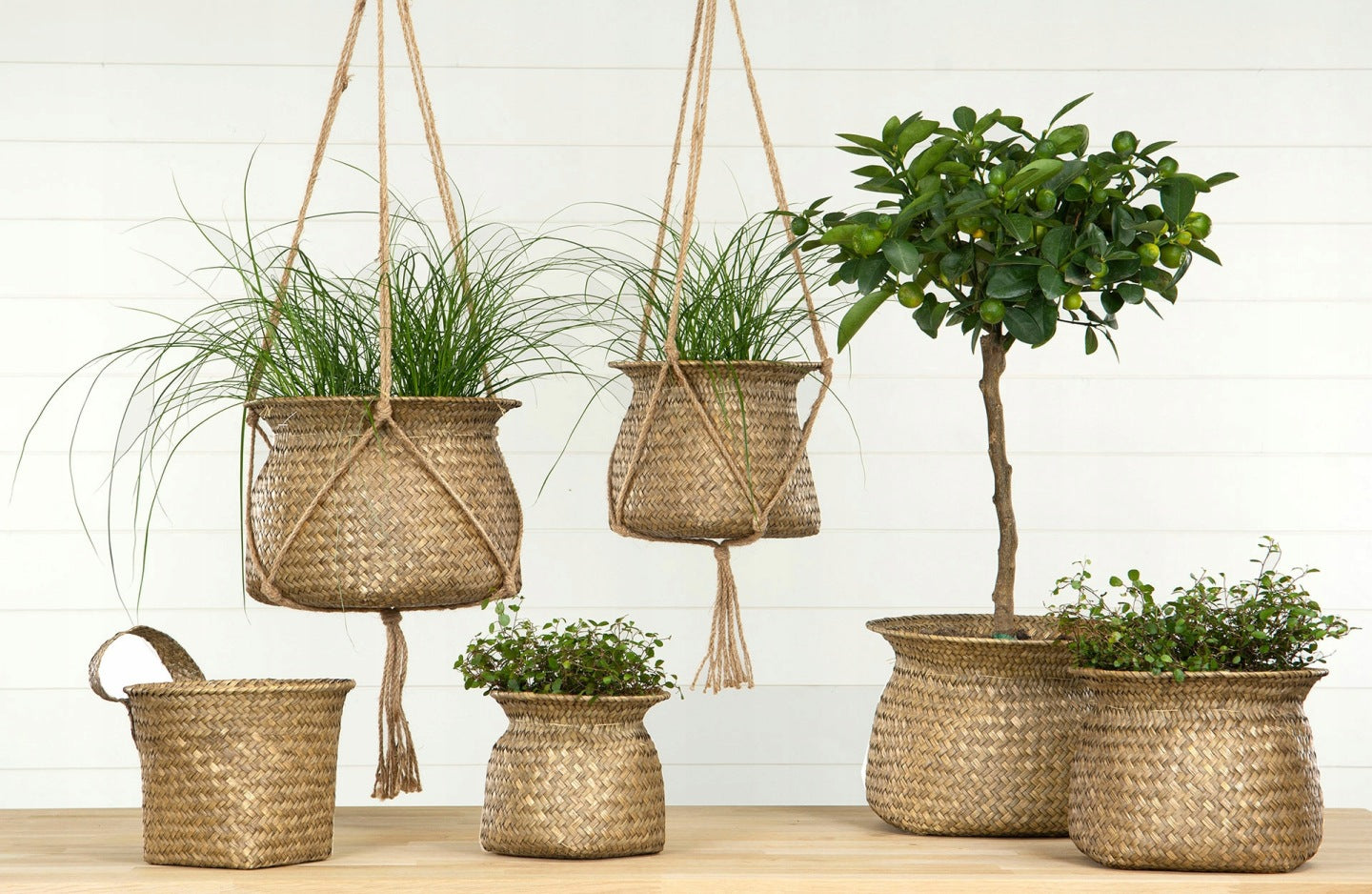 DONICA KOSZ naturalna boho śr. 19cm