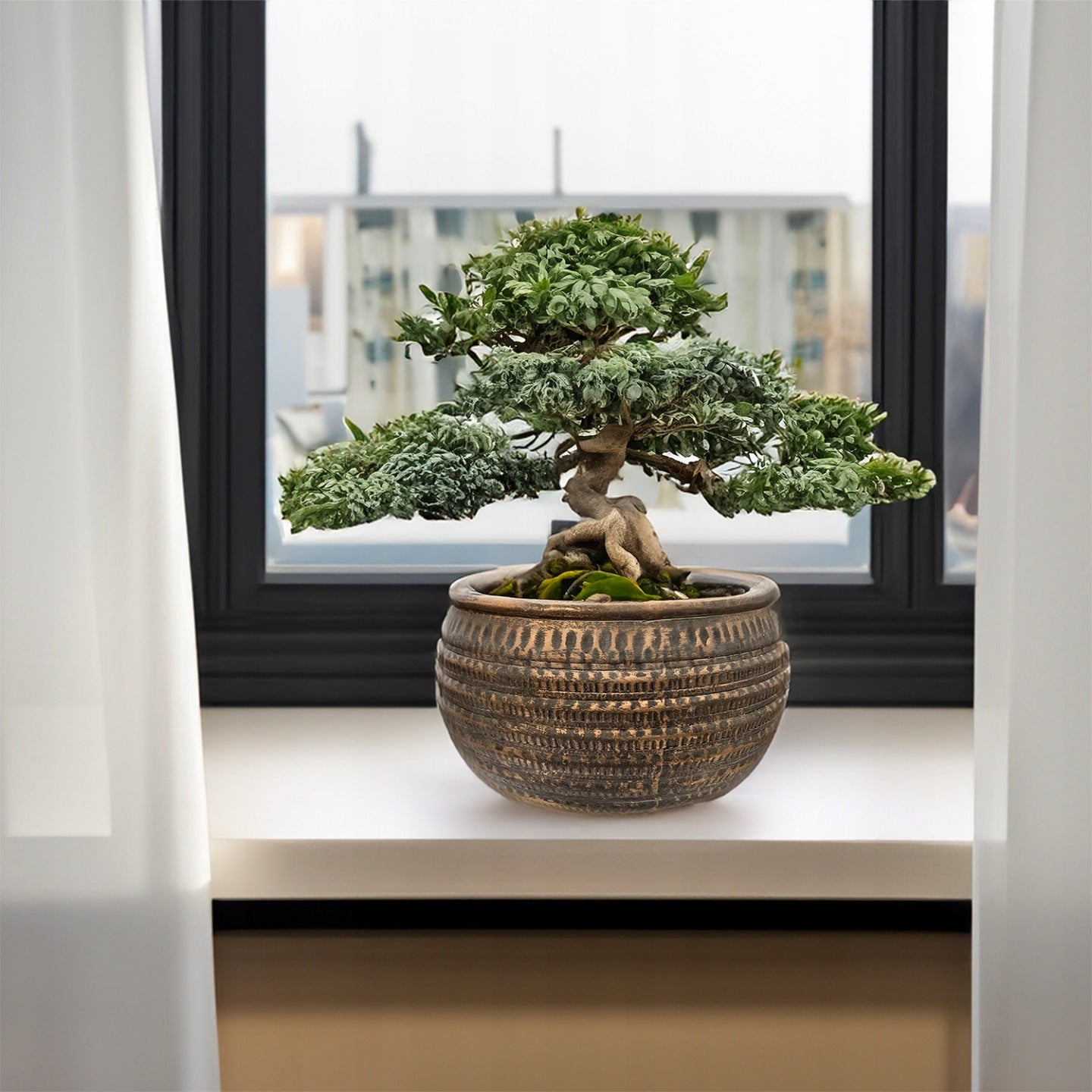 DONICZKA NISKA PŁASKA DUŻA 27CM BETONOWA NA BONSAI PARAPET KWIATY DO SALONU