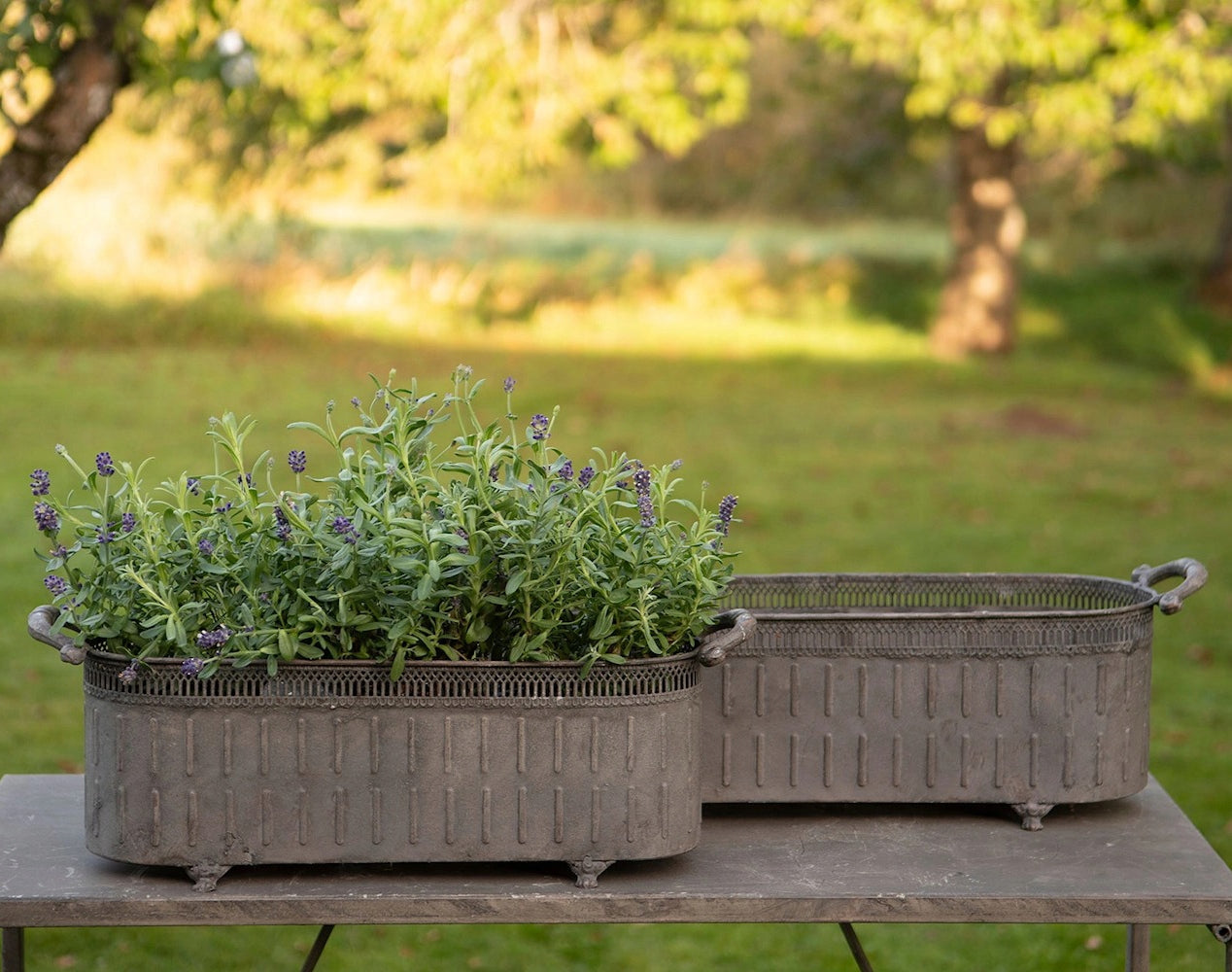 DONICZKA SZARA LOFT KORYTKO 2 SZT.