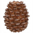ŚWIECZNIK SZYSZKA BRĄZOWY 14CM