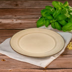 TALERZ OBIADOWY BEŻOWY 27cm