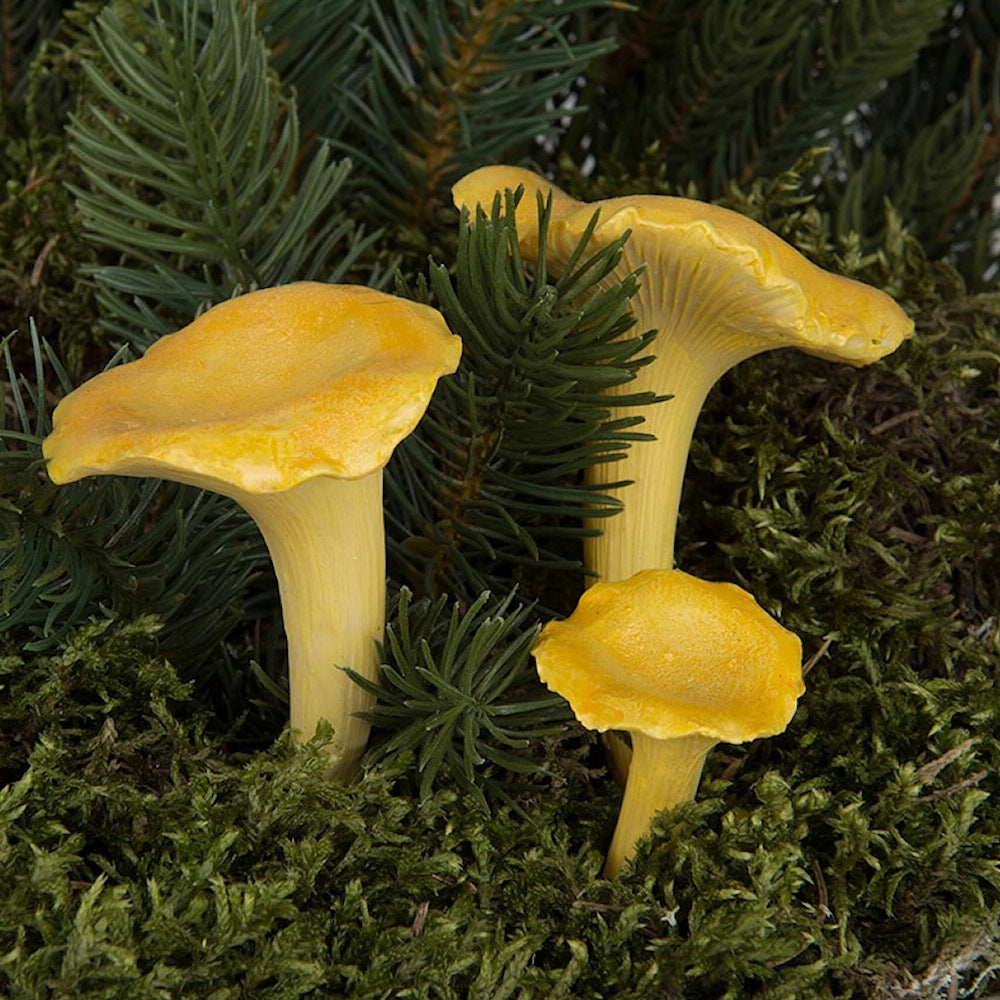 Leśna kompozycja florystyczna z bliska. Wśród naturalnego, zielonego mchu i gałązek świerku rosną trzy realistycznie wyglądające, dekoracyjne figurki grzybów (kurek). Grzyby mają charakterystyczny, intensywnie żółty kolor i trąbkowaty kształt kapeluszy z pofalowanymi brzegami.