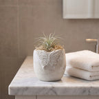 Minimalistyczna, jasna aranżacja łazienkowa w stylu spa. Na jasnym, marmurowym blacie stoi szara, betonowa doniczka z wypukłym dekorem motyla. Wnętrze naczynia wypełnione jest suchym mchem chrobotkiem, z którego wyrasta zielono-srebrzysta oplątwa (roślina powietrzna, Tillandsia). Obok leżą dwa starannie złożone, puszyste białe ręczniki kąpielowe. W lekko rozmytym tle widać fragment srebrnej baterii umywalkowej i gładką ścianę.
