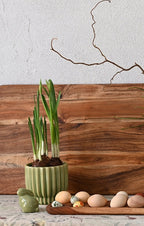 DONICZKA ZIELONA CERAMIKA 14CM