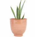 DONICZKA CERAMICZNA RÓŻOWA 14CM