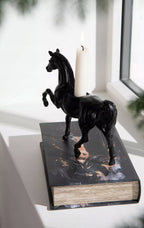 PUDEŁKO KSIĄŻKA koń 24x16cm