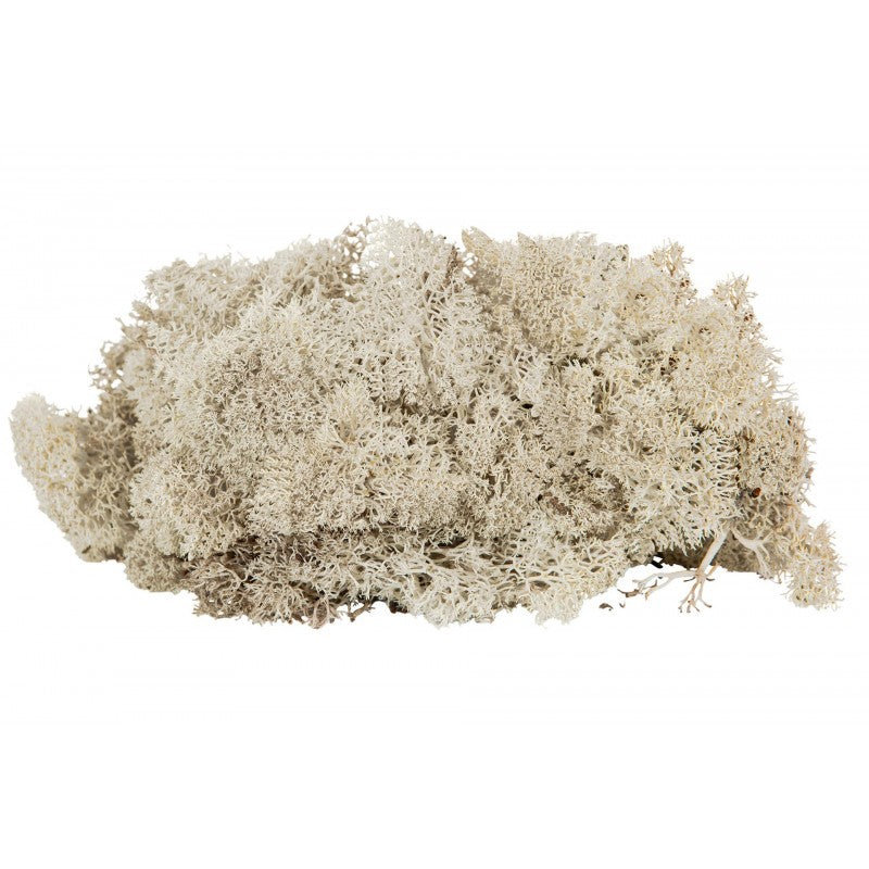 MECH NATURALNY dekoracyjny 0.5kg