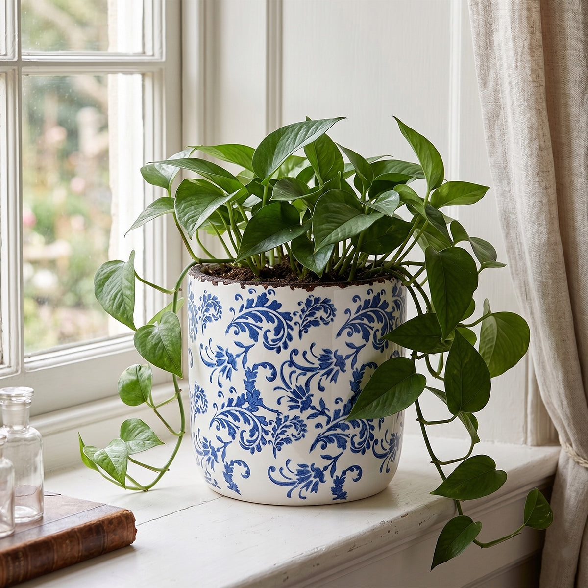 Ceramiczna donica w biało-niebieskie wzory, wyeksponowana na jasnym, drewnianym parapecie tuż przy lnianej zasłonie. W osłonce rośnie gęste epipremnum o długich, spływających pędach. Leżąca obok stara książka oraz dekoracyjne, szklane buteleczki apteczne nadają całej kompozycji przytulny, nostalgiczny charakter w stylu shabby chic