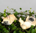 OZDOBA do doniczki BULLDOGI /2/