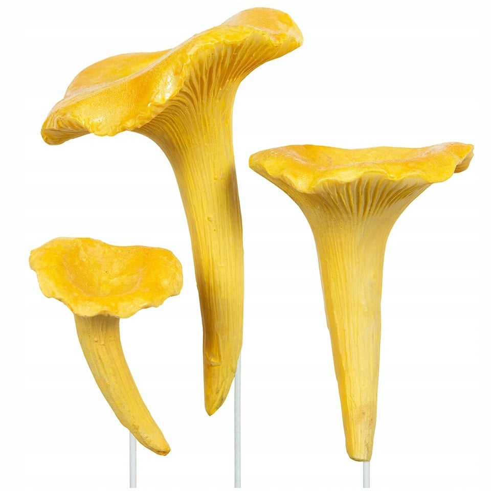 Zdjęcie produktowe na gładkim, białym tle (packshot). Trzy dekoracyjne figurki grzybów jadalnych (kurek) w różnych rozmiarach. Figurki są intensywnie żółte, mają pofalowane kapelusze i wyraźne "blaszki" zbiegające na trzon. Grzybki są zamocowane na cienkich, białych patyczkach (pikach), które umożliwiają wbicie ich w podłoże florystyczne.