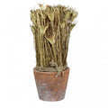 SUSZONA ROŚLINA w doniczce wys. 27cm