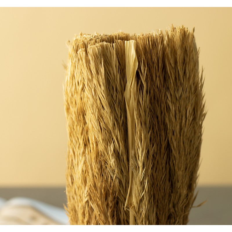 SUSZONA TRZCINA w doniczce wys. 27cm