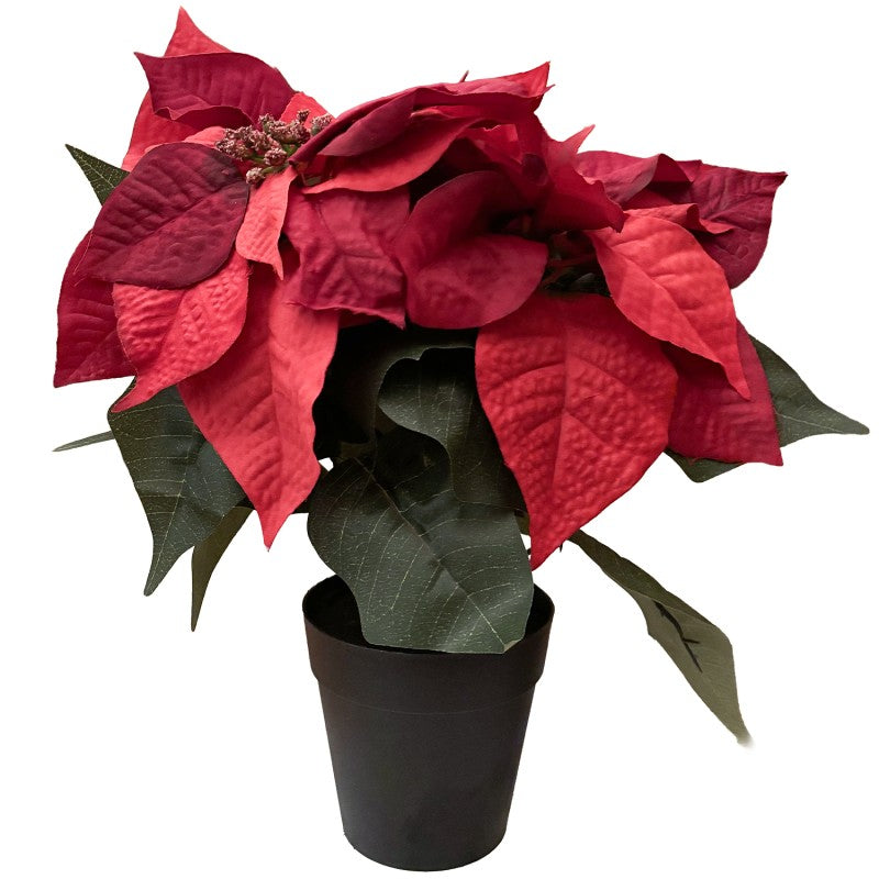 SZTUCZNA ROŚLINA GWIAZDA BETLEJEMSKA