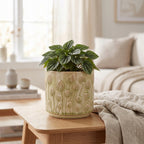 Przytulny, jasny salon w odcieniach beżu i bieli. Na małym, drewnianym stoliku kawowym wyeksponowano jasnozieloną, ceramiczną doniczkę z wypukłym wzorem roślinnym (pąki na łodyżkach). Wewnątrz rośnie gęsta peperomia o ciemnozielonych, mocno karbowanych liściach. Obok doniczki leży niedbale rzucona, beżowa chusta z lnu. W rozmytym tle widać wygodną kanapę z poduszkami, stolik z książkami oraz okno zasłonięte jasnymi zasłonami.