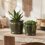 Przytulna aranżacja wnętrza w stylu boho. Na prostej, drewnianej ławce stoją dwie ceramiczne donice w kolorze butelkowej zieleni z miedziano-brązowymi przetarciami. W większej donicy rośnie wysoka sansewieria, a w mniejszej zwisający starzec Rowleya. W tle widać jasną ścianę ozdobioną dwiema makramami oraz plecione kosze na podłodze.